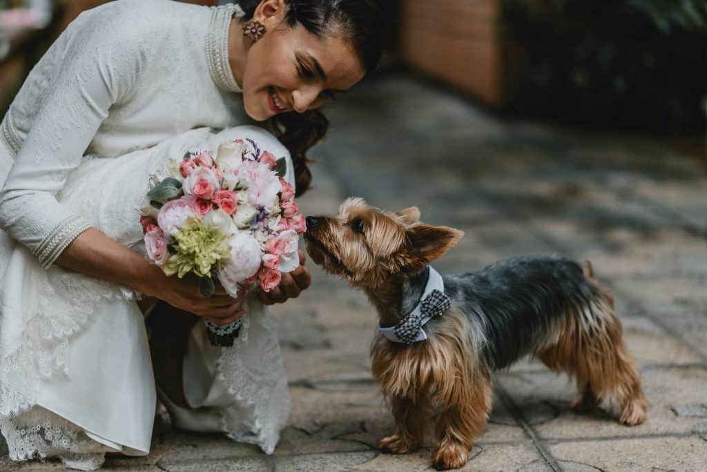 Fotografia de Matrimonio. Estadio Español de Linares. Matrimonio de Pia y Nacho.